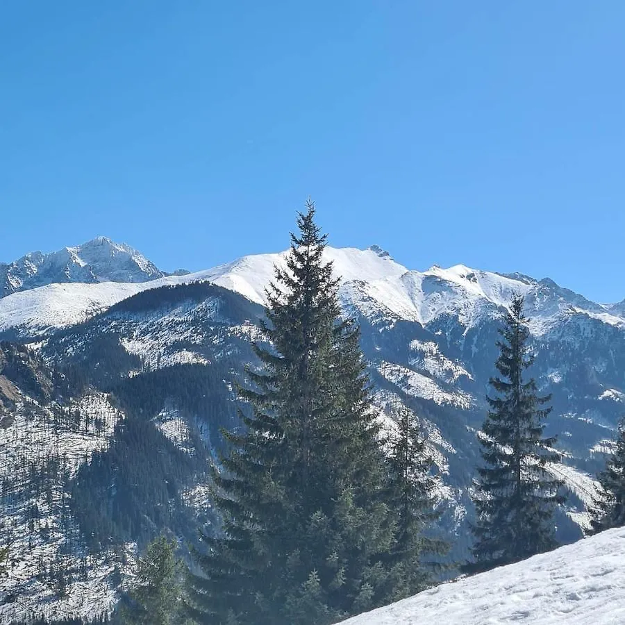 D.W Teresa Villa Zakopane 0*,